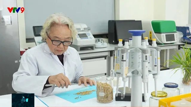 Nhà khoa học gieo mùa vàng