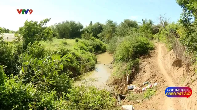 Alo V9 (09/02/2026): Bờ sông sạt lở ảnh hưởng người dân