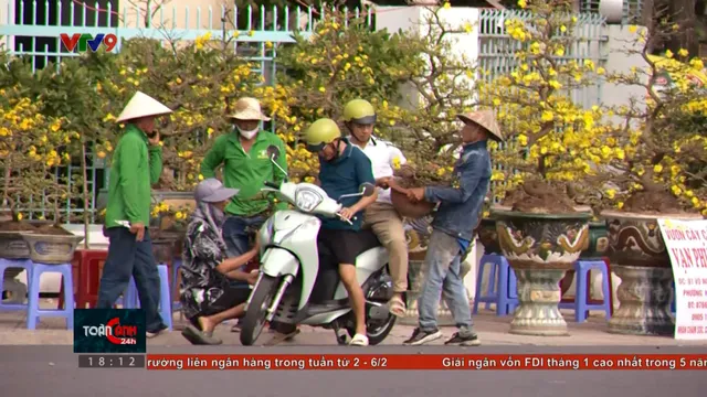 Mua sớm hoa Tết - san sẻ khó khăn sau thiên tai