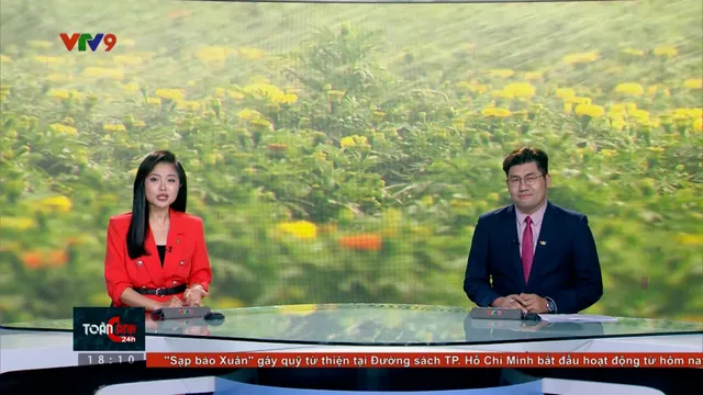 Thời sự: Toàn cảnh 24h (10/02/2026)