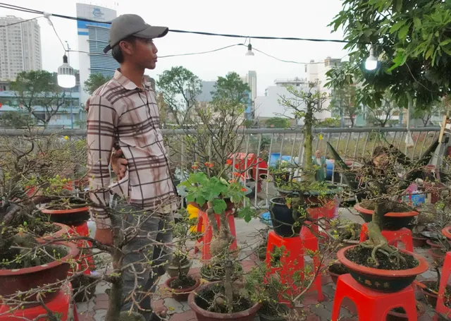 Chợ hoa "Trên bến dưới thuyền" những ngày cuối năm- Ảnh 6. Chợ hoa "Trên bến dưới thuyền" những ngày cuối năm- Ảnh 6.