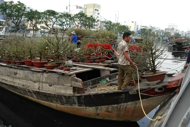 Chợ hoa "Trên bến dưới thuyền" những ngày cuối năm- Ảnh 3. Chợ hoa "Trên bến dưới thuyền" những ngày cuối năm- Ảnh 3.