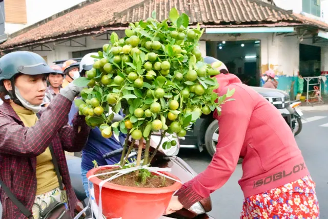 Chợ hoa "Trên bến dưới thuyền" những ngày cuối năm- Ảnh 12. Chợ hoa "Trên bến dưới thuyền" những ngày cuối năm- Ảnh 12.