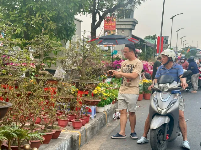 Chợ hoa "Trên bến dưới thuyền" những ngày cuối năm- Ảnh 11. Chợ hoa "Trên bến dưới thuyền" những ngày cuối năm- Ảnh 11.