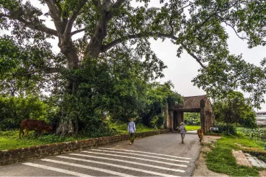 Highlights 7 unique Tết experiences across Vietnam - Ảnh 8.