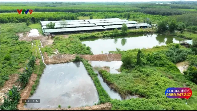 Alo V9 (11/02/2026): Đồng Nai xử lý vi phạm cơ cở chăn nuôi gây ô nhiễm môi trường