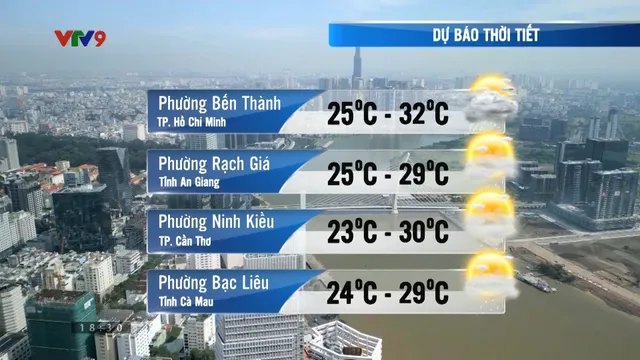 Dự báo thời tiết (11/02/2026)