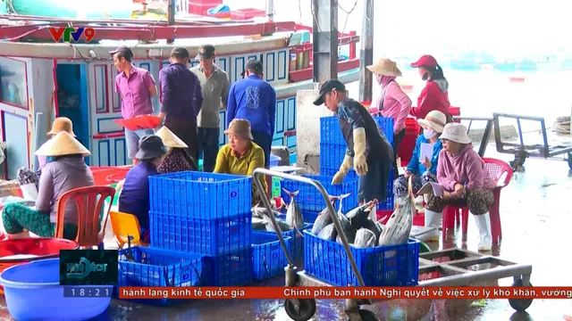 Ngư dân bám biển xuyên Tết