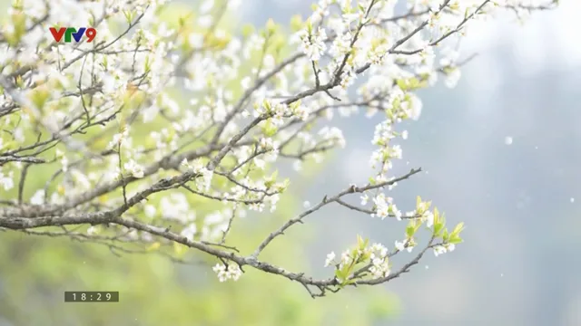 Dự báo thời tiết (14/02/2026)