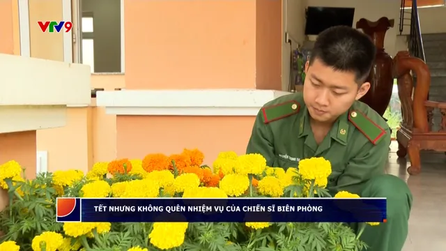 Tết nhưng không quên nhiệm vụ