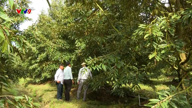 Nông dân kỳ vọng năm mới bứt phá về lợi nhuận