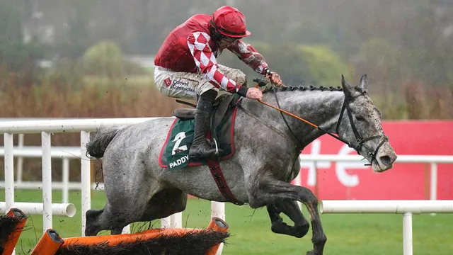 Những kỷ lục về giá trị của các chú ngựa đua trên thế giới- Ảnh 4. Những kỷ lục về giá trị của các chú ngựa đua trên thế giới- Ảnh 4.