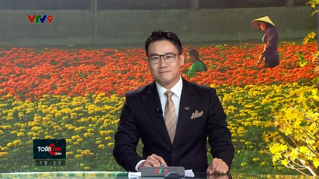 Thời sự: Toàn cảnh 24h (20/02/2026)