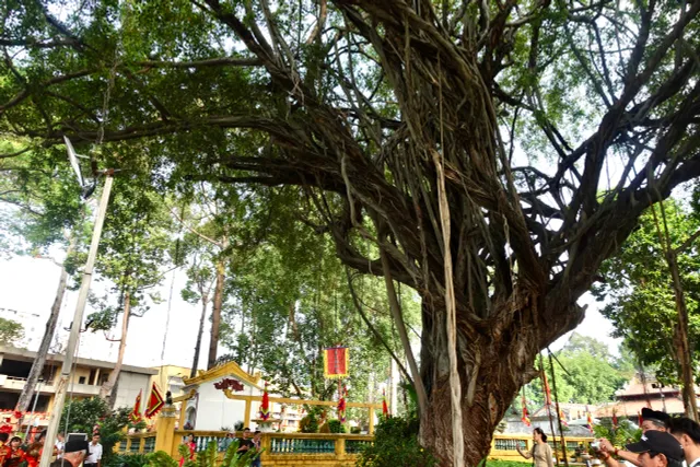 Người dân TP Hồ Chí Minh nô nức tham dự lễ Khai hạ - Cầu an - Ảnh 17.