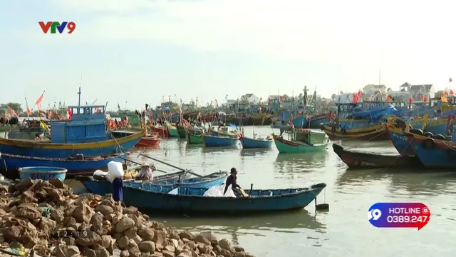 Alo V9 (23/02/2026): Thiếu nơi neo đậu tàu cá, ngư dân gặp khó