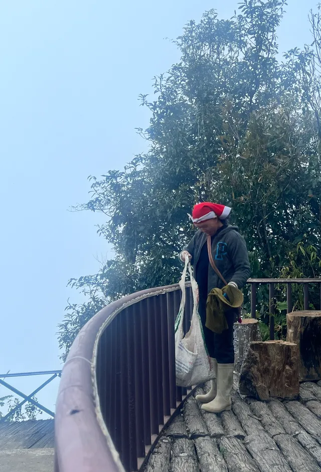 Peach Blossoms in Full Bloom  Among   Clouds at O Quy Ho Pass - Ảnh 2.