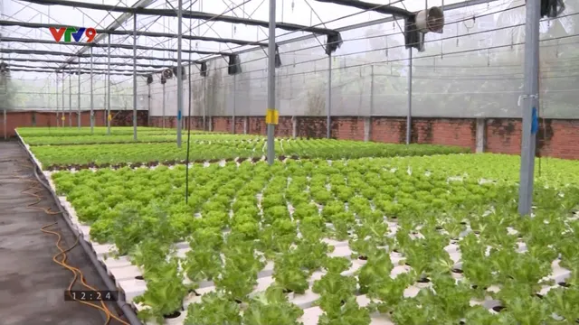 Nông dân, HTX sẵn sàng cho mùa vụ mới đầu năm