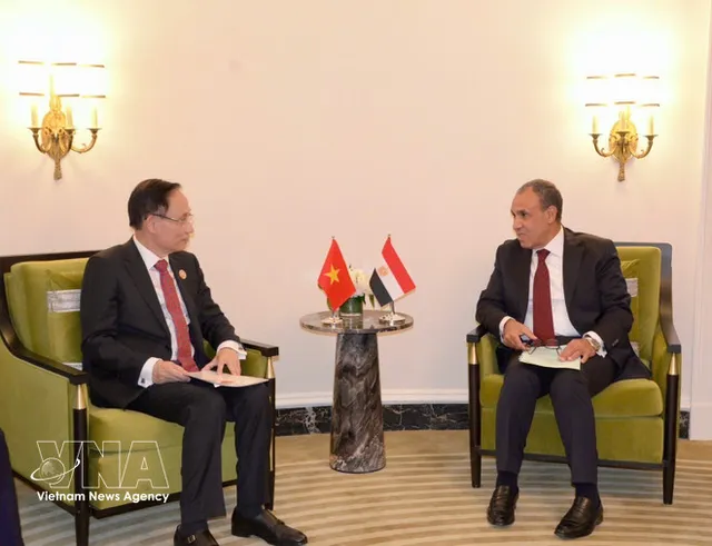 Vietnamese FM meets counterparts of UAE, Egypt and Türkiye - Ảnh 1.