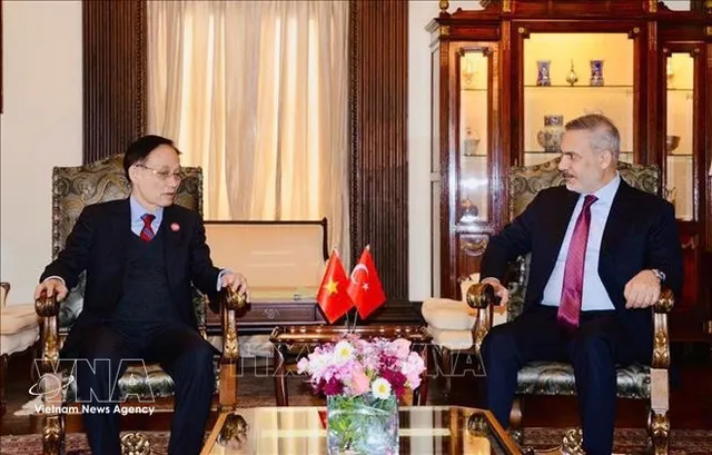 Vietnamese FM meets counterparts of UAE, Egypt and Türkiye - Ảnh 2.