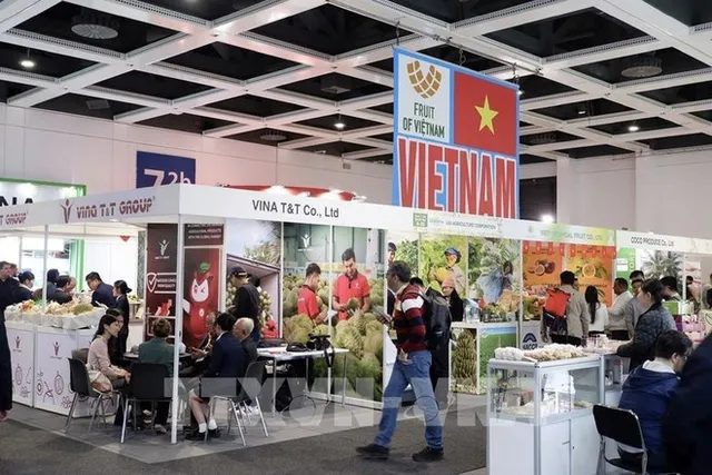 Resolution 68: International lessons for private sector development - Ảnh 1.