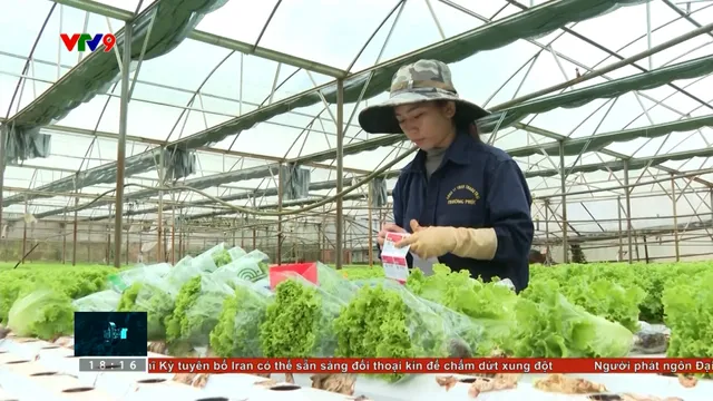 Kỳ vọng của cử tri Lâm Đồng trong nhiệm kỳ mới