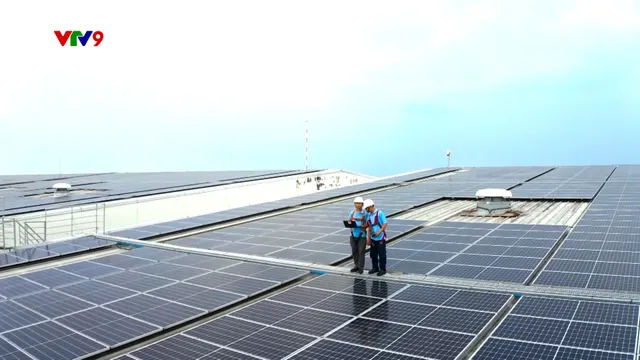 VTV9 và Sứ mệnh "Xanh hóa" Tư duy Kinh tế: Khi Truyền thông trở thành Động lực Chuyển đổi kép