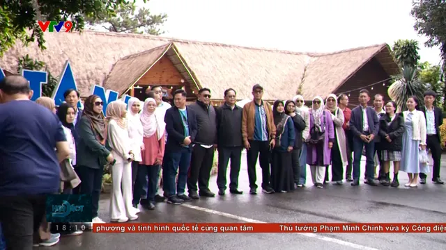 Giảm áp lực biến động giá xăng đối với du lịch