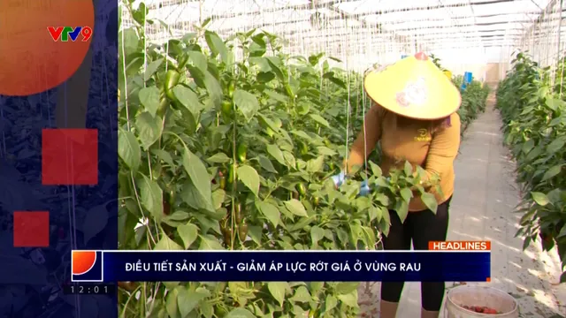 Thời sự: Phương Nam hôm nay (25/3/2026)