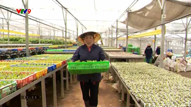 Công nghệ cao giúp tiết kiệm chi phí sản xuất