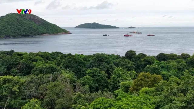 Bảo tồn du lịch xanh ở Côn Đảo