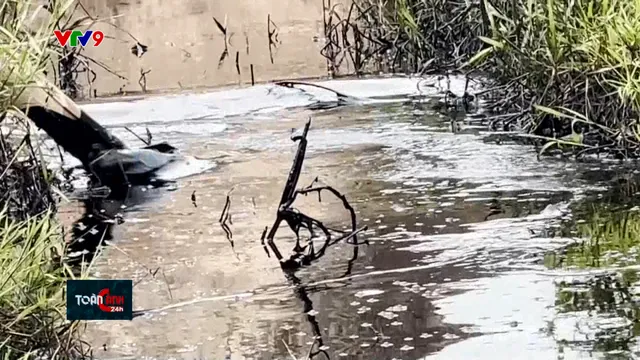 Nông dân phải bỏ ruộng vì dầu nhớt