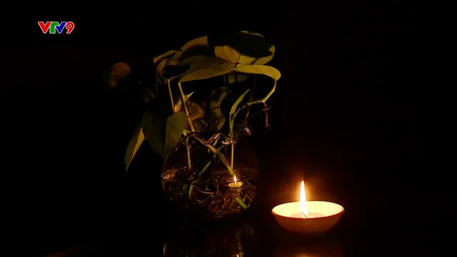 Giờ trái đất 2026 tiết kiệm hơn 460.000 Kw