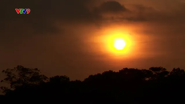 Ấn tượng phương Nam: Ngắm "phượng hoàng lửa" trong hoàng hôn Đà Lạt