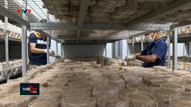 HTX chuyển đổi mô hình để đối phó với biến động thị trường thế giới