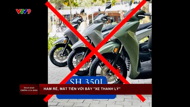 Thời sự: Toàn cảnh 24h (29/3/2026)