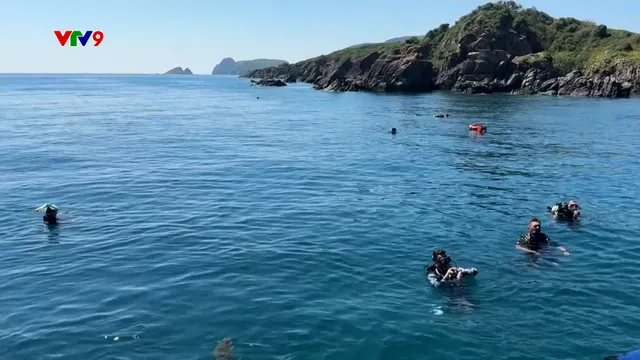 Ấn tượng phương Nam: Đến Nha Trang học lặn biển