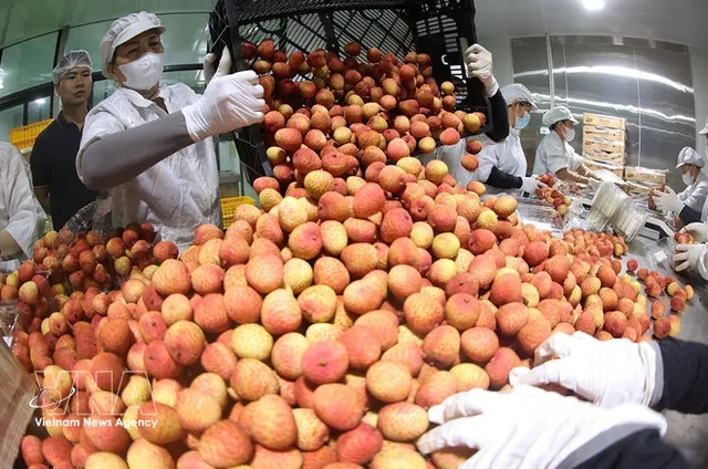 Vietnam’s food sector urged to move up global value chains - Ảnh 1.
