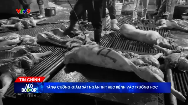 Alo Doctor (02/4/2026): Tăng cường giám sát ngăn thịt heo bệnh vào trường học