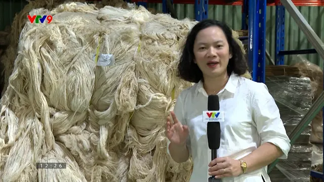 Ngành dệt may tạo lợi thế cạnh tranh từ phụ phẩm nông nghiệp