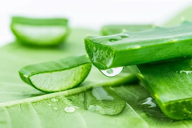 4 nguyên liệu tự nhiên giúp làm chậm lão hóa, duy trì làn da mịn màng- Ảnh 1.