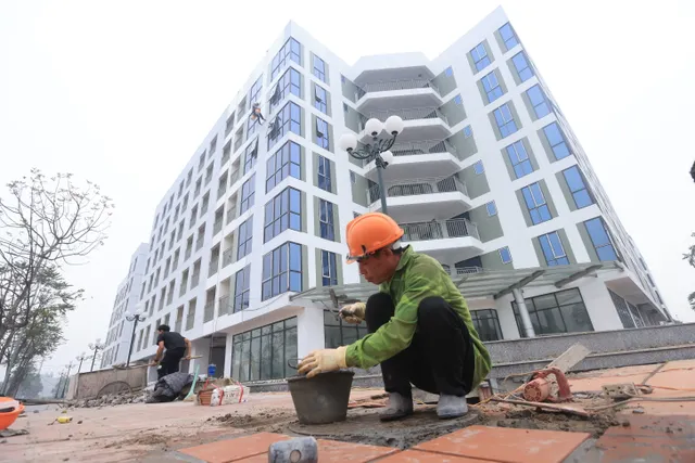 Triển khai quyết liệt các giải pháp phát triển nhà ở cho thuê đáp ứng nhu cầu ở thực của người dân