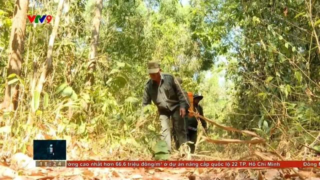 Phòng ngừa cháy rừng giữa đỉnh điểm nắng nóng