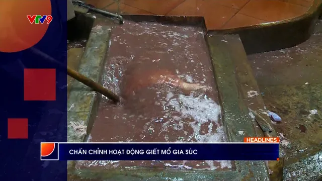 Thời sự: Phương Nam hôm nay (13/4/2026)