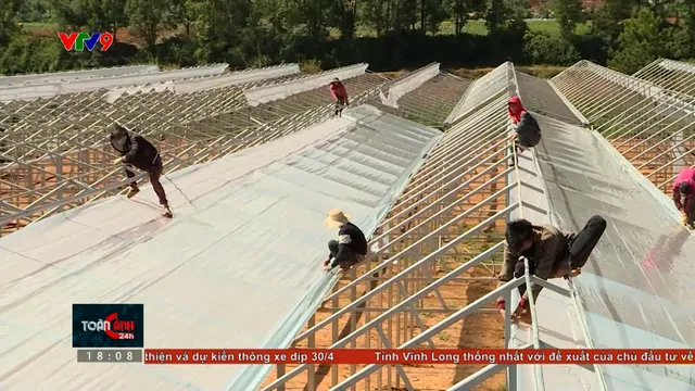 Loay hoay xử lý nhà kính khu vực nội đô Đà Lạt