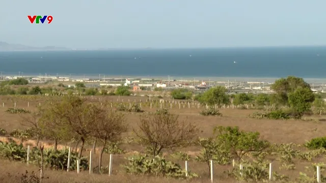 Cụ thể hóa cơ chế đặc thù dự án điện hạt nhân