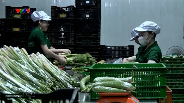 Cắt bỏ các điều kiện kinh doanh không cần thiết - lực đẩy giúp DN phát triển