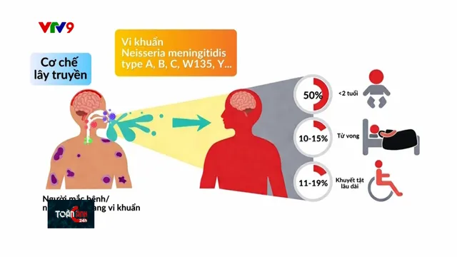 Không hoang mang trước bệnh viêm não mô cầu