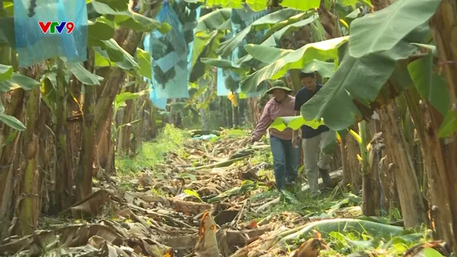 Người trẻ khởi nghiệp nông nghiệp: lợi thế hiểu khách hàng