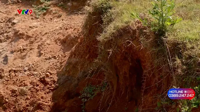 Alo V9 (23/4/2026): Gia tăng tình trạng khai thác đất, cát trái phép