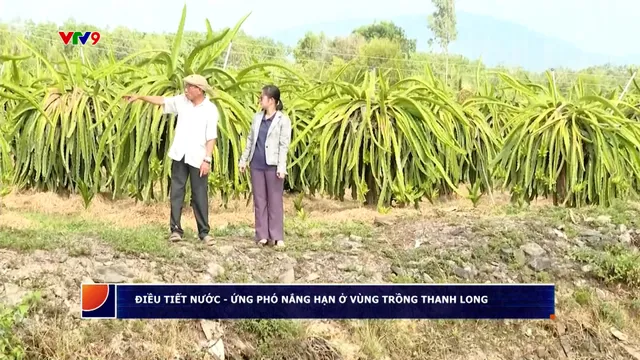 Điều tiết nước - Ứng phó nắng hạn ở vùng trồng thanh long